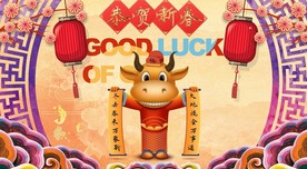 2021牛年春节喜庆素材