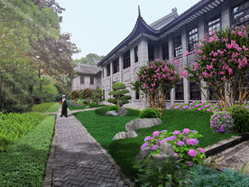 办公楼 博物馆 后院景观