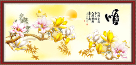 玉兰花