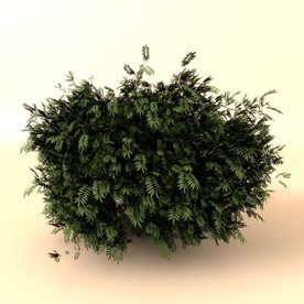 树木模型 植物模型 花草模型