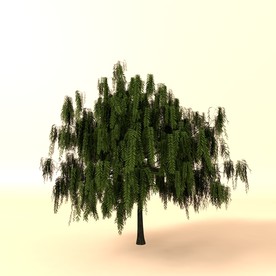 树木模型 植物模型 花草模型