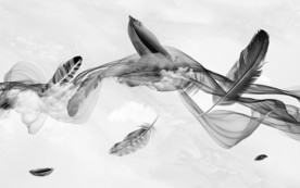 烟雾大气新装饰画 TIF分层