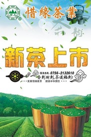 新茶上市