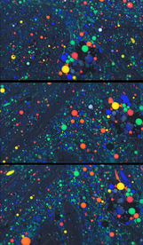 缤纷彩色粒子涌动视频素材