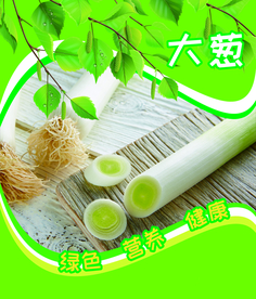 大葱