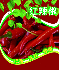 红辣椒