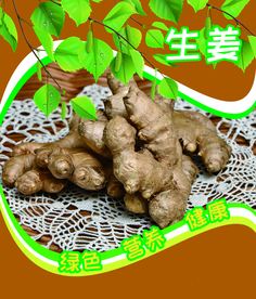 生姜