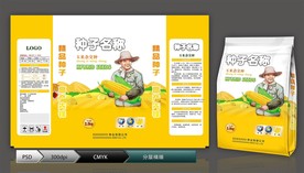 玉米种子(展开图)