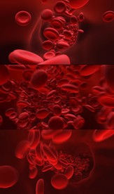 红细胞流动血基因组医疗视频素材