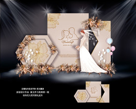 香槟色婚礼迎宾区