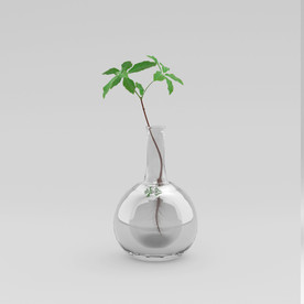 C4D盆栽建模渲染