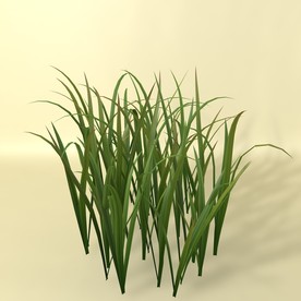 花草模型 植物模型 花卉模型