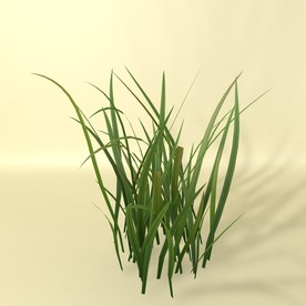 花草模型 植物模型 花卉模型