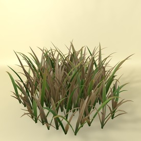 花草模型 植物模型 花卉模型