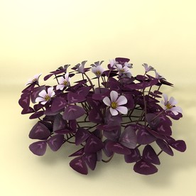 花草模型 植物模型 花卉模型