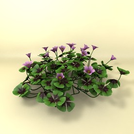 花草模型 植物模型 花卉模型