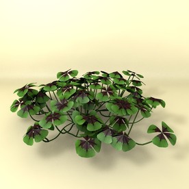 花草模型 植物模型 花卉模型