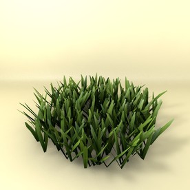 花草模型 植物模型 花卉模型