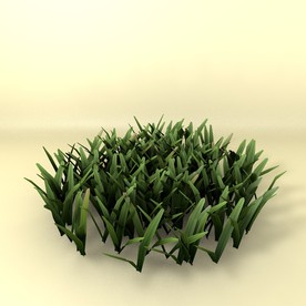 花草模型 植物模型 花卉模型