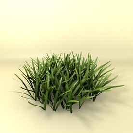 花草模型 植物模型 花卉模型