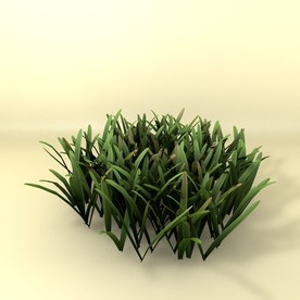 花草模型 植物模型 花卉模型