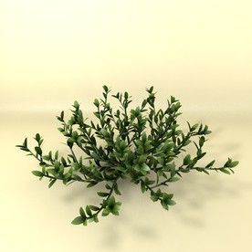 花草模型 植物模型 花卉模型