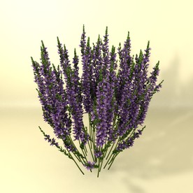 花草模型 植物模型 花卉模型