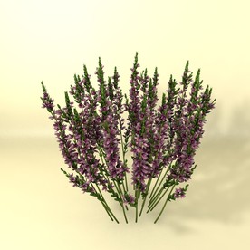 花草模型 植物模型 花卉模型