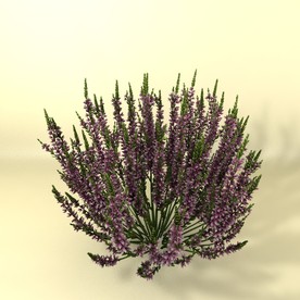 花草模型 植物模型 花卉模型