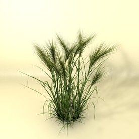 花草模型 植物模型 花卉模型