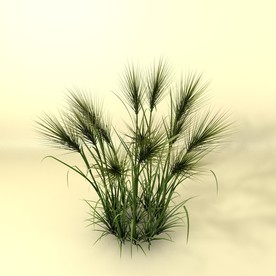 花草模型 植物模型 花卉模型