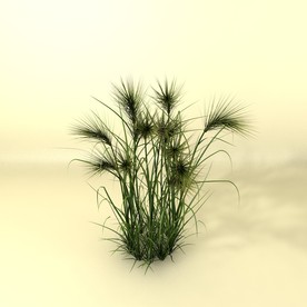 花草模型 植物模型 花卉模型