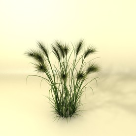 花草模型 植物模型 花卉模型