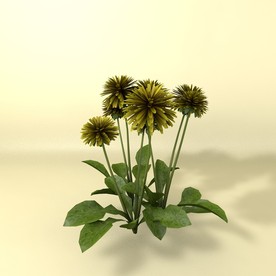 花草模型 植物模型 花卉模型