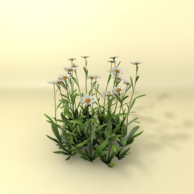 花草模型 植物模型 花卉模型