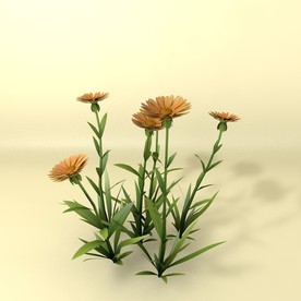 花草模型 植物模型 花卉模型