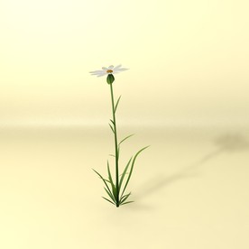 花草模型 植物模型 花卉模型