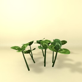 花草模型 植物模型 花卉模型