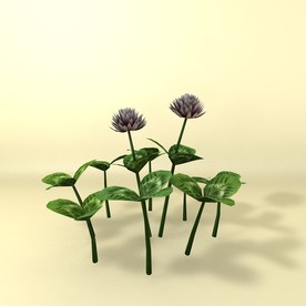 花草模型 植物模型 花卉模型