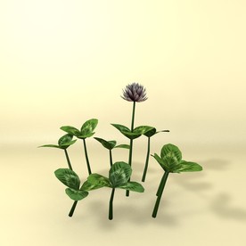 花草模型 植物模型 花卉模型