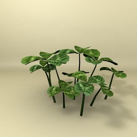 花草模型 植物模型 花卉模型