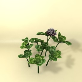 花草模型 植物模型 花卉模型