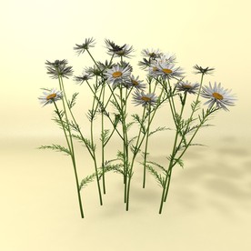 花草模型 植物模型 花卉模型