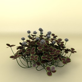 花草模型 植物模型 花卉模型