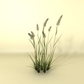 花草模型 植物模型 花卉模型