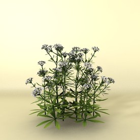 花草模型 植物模型 花卉模型