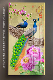 原创玄关高清孔雀牡丹装饰画
