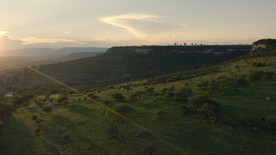 航拍鸟瞰森林大气