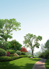 道路绿化景观效果图