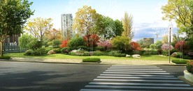 市政道路绿化效果图